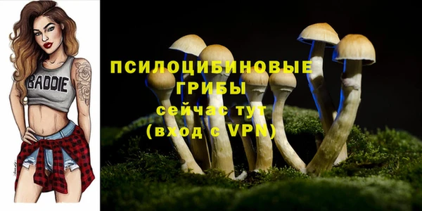 героин Арсеньев