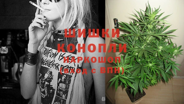 прущие грибы Болхов
