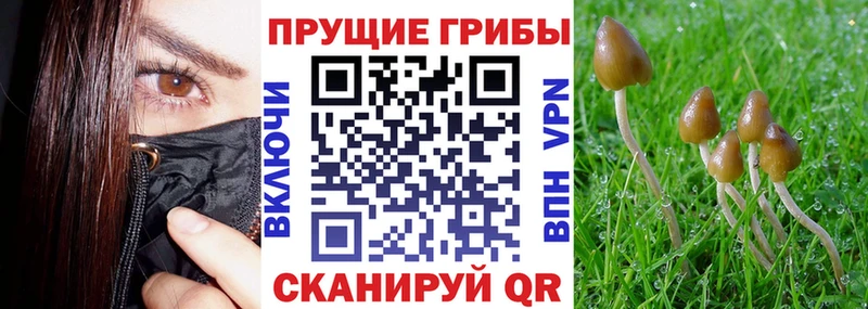 Галлюциногенные грибы MAGIC MUSHROOMS  Боготол 
